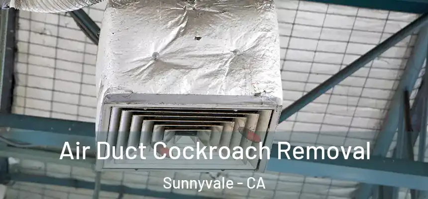 Air Duct Cockroach Removal Sunnyvale - CA