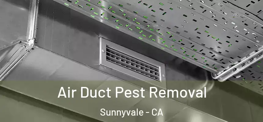 Air Duct Pest Removal Sunnyvale - CA