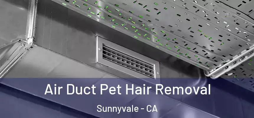 Air Duct Pet Hair Removal Sunnyvale - CA