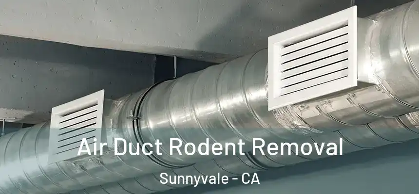 Air Duct Rodent Removal Sunnyvale - CA