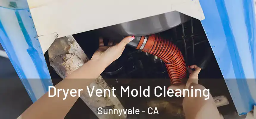 Dryer Vent Mold Cleaning Sunnyvale - CA