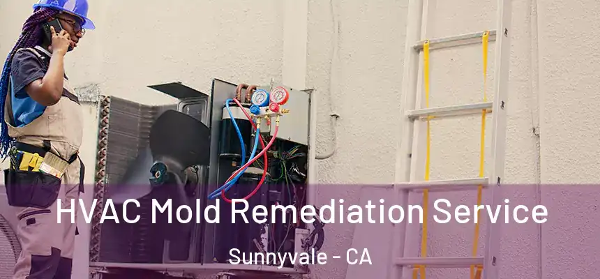 HVAC Mold Remediation Service Sunnyvale - CA