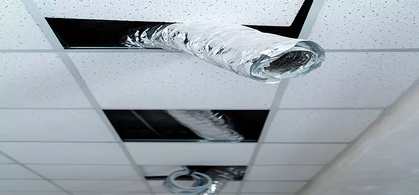 Our Air Duct Pet Hair Removal Services in Sunnyvale, CA