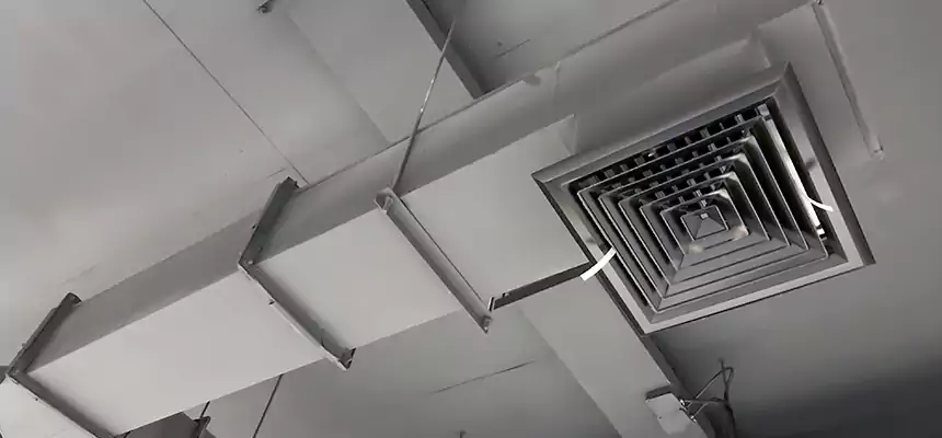 Our Rodent Droppings In Vents Services in Sunnyvale, CA