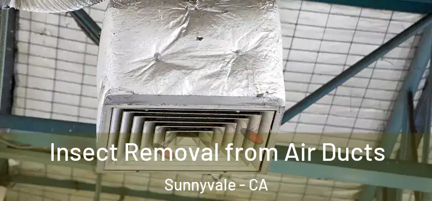 Insect Removal from Air Ducts Sunnyvale - CA