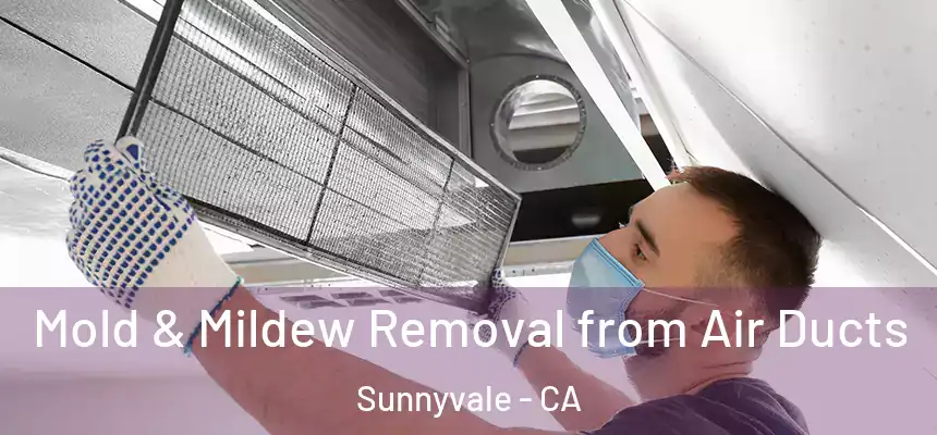 Mold & Mildew Removal from Air Ducts Sunnyvale - CA