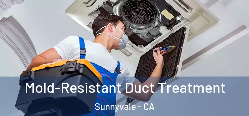 Mold-Resistant Duct Treatment Sunnyvale - CA