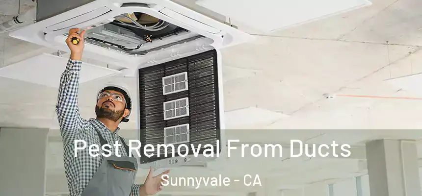 Pest Removal From Ducts Sunnyvale - CA