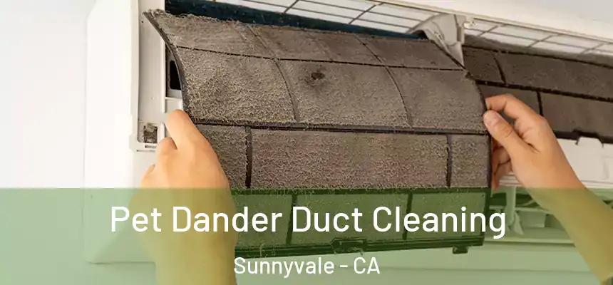 Pet Dander Duct Cleaning Sunnyvale - CA