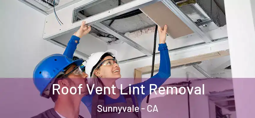 Roof Vent Lint Removal Sunnyvale - CA