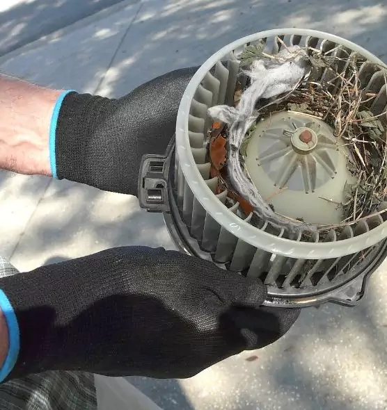 About Air Duct Rat Removal in Sunnyvale, CA