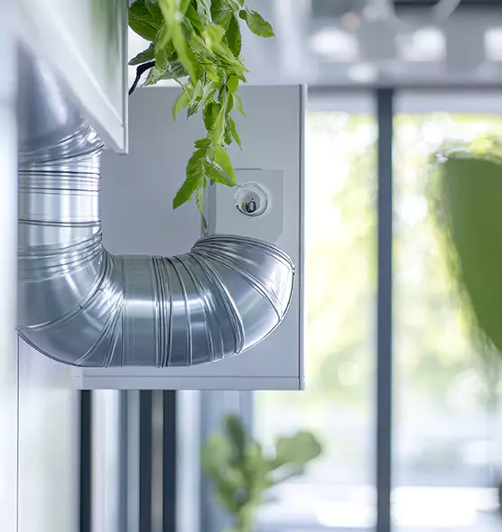 Professional Eco-Safe Dryer Vent Cleaning in Sunnyvale, CA