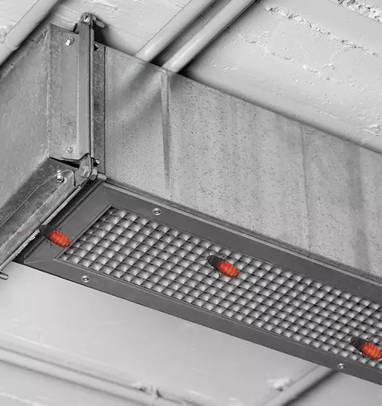 Affordable Insect Removal from Air Ducts in Sunnyvale, CA