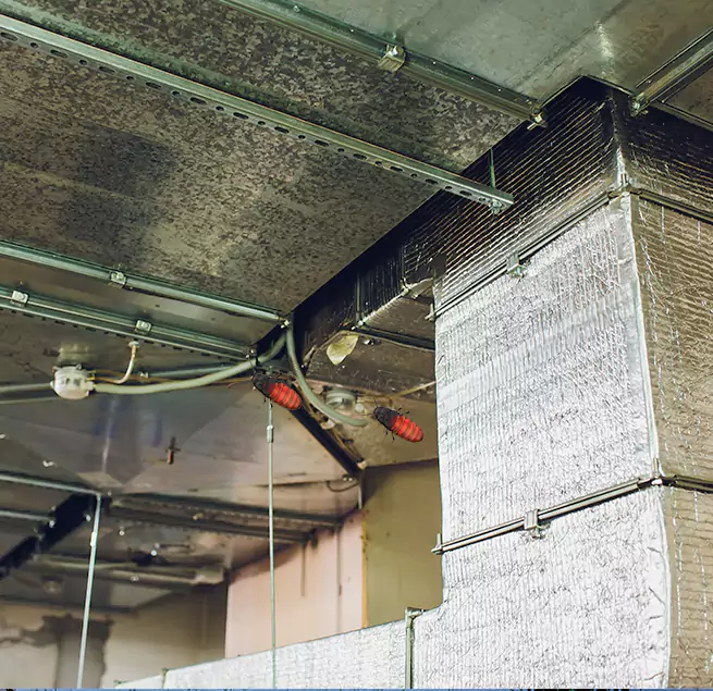 Why Homeowners & Businesses Trust Us in Sunnyvale, CA?