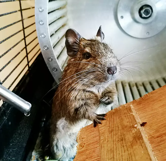 Why Homeowners & Businesses Trust Us Sunnyvale, CA