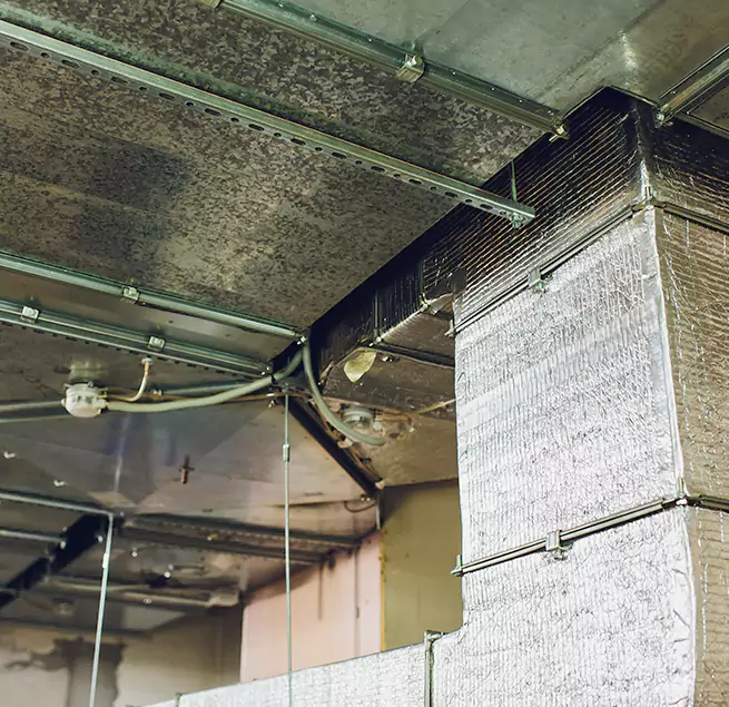 Why Homeowners & Businesses Trust Us in Sunnyvale, CA?